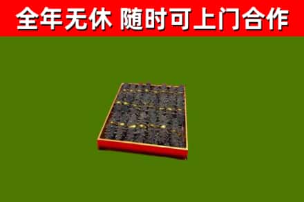 湘东回收海参